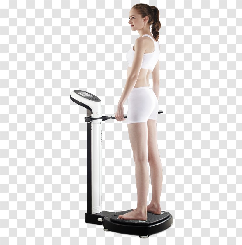 Body Composition Human Bioelectrical Impedance Analysis InBody Adipose Tissue - Heart - Indian Model Transparent PNG