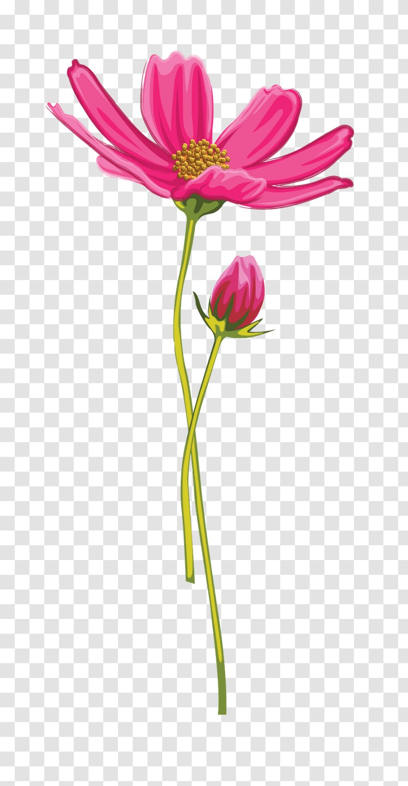 Diary Tulip Flower LiveInternet Blog - Cut Flowers Transparent PNG