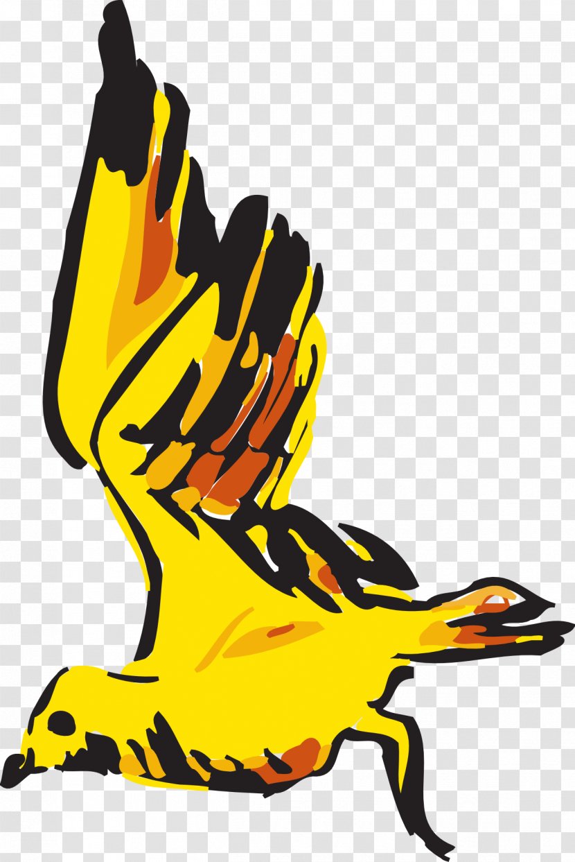 Bird Flight Goose Clip Art - Organism - Flying Transparent PNG