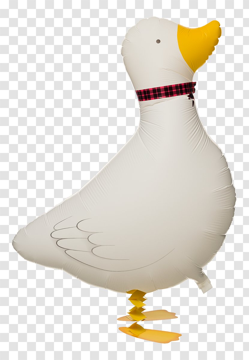 Duck Domestic Goose Toy Balloon Gas - Water Bird Transparent PNG