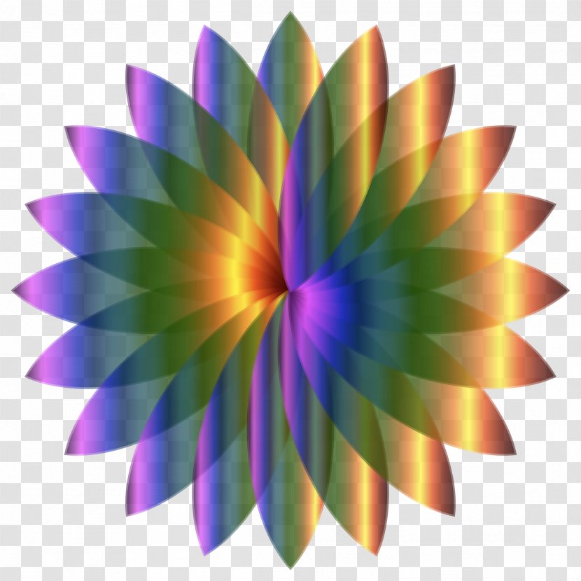 Color Art Drawing - Lotus Transparent PNG