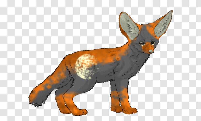 Red Fox Fennec Canidae Carnivora - Wildlife Transparent PNG