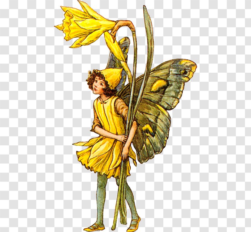 The Book Of Flower Fairies A Fairy Alphabet Garden Spring - Cicely Mary Barker Transparent PNG