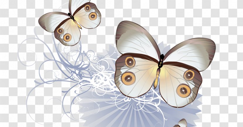 Butterfly Insect Drawing - Painting Transparent PNG