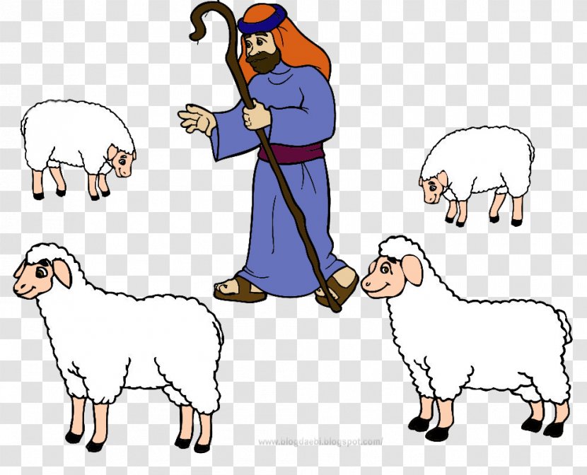 Sheep Drawing Cattle Goat Clip Art - Carnivoran - Pastor Transparent PNG
