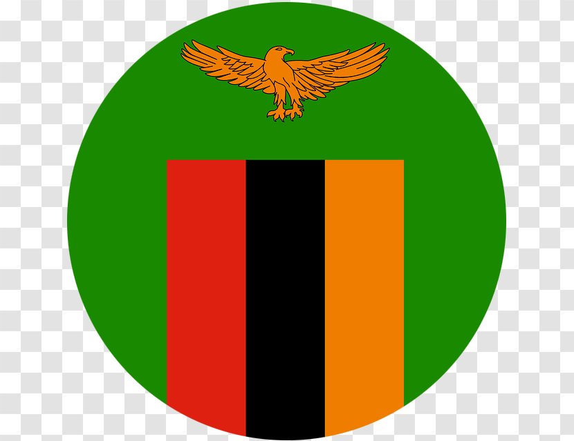 Football Association Of Zambia Green Logo Flag - Ceramic Transparent PNG