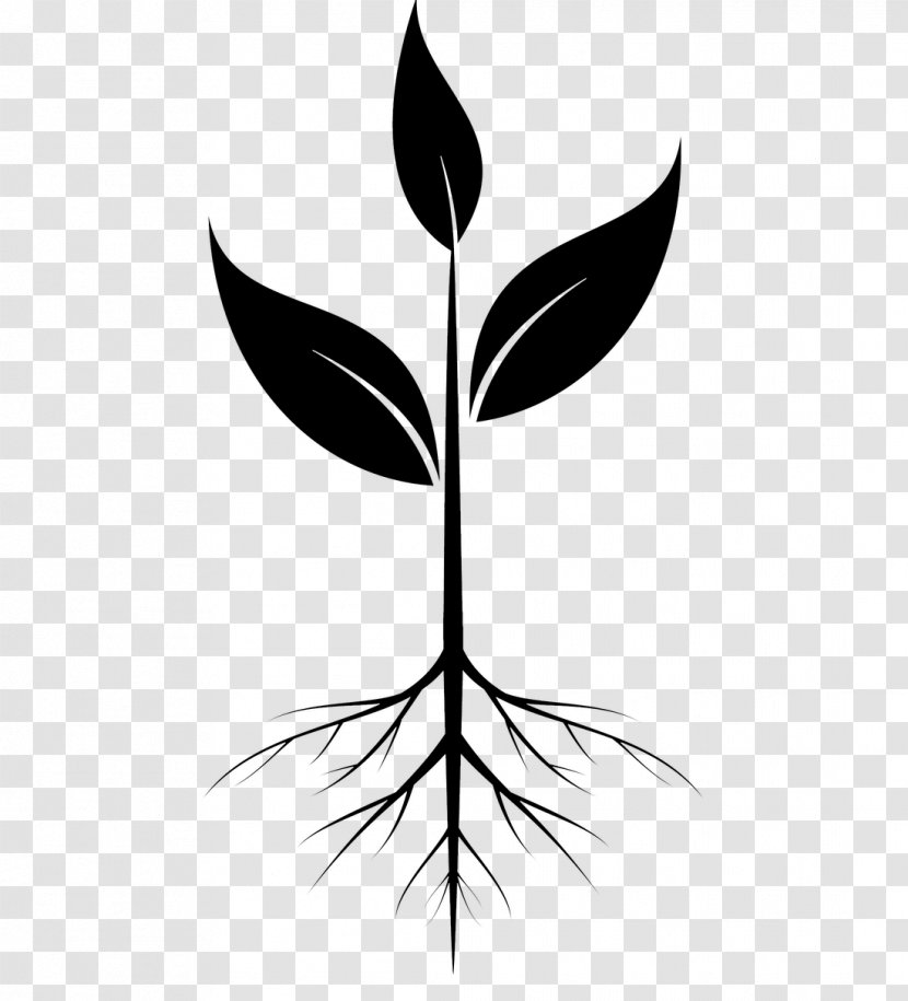 Clip Art Root Plants Illustration - Blackandwhite - Tree Transparent PNG