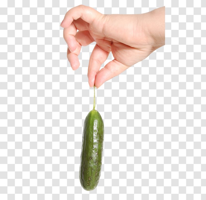 Cucumber Vegetable Fruit Hand Transparent PNG