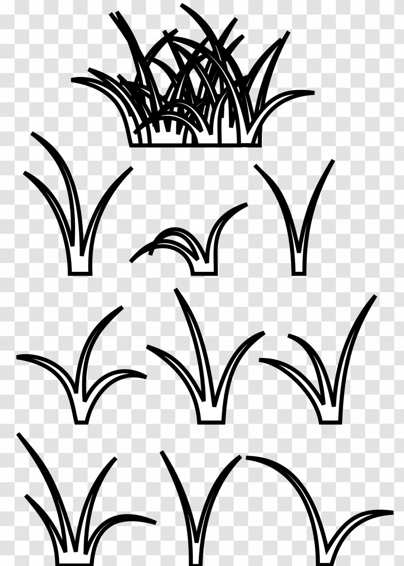 Black And White Clip Art - Branch - Lawn Transparent PNG