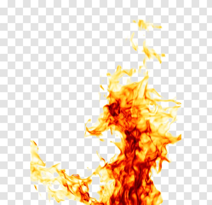 Stock Photography Walking Through Fire Flame Transparent PNG