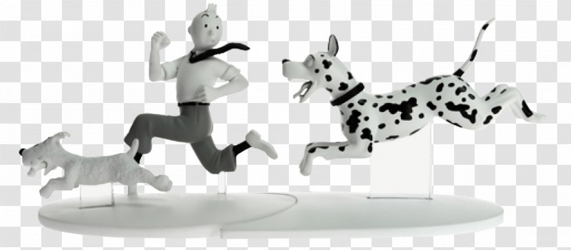 Snowy Tintin The Black Island Shooting Star Seven Crystal Balls - Dog Like Mammal - TINTIN Transparent PNG