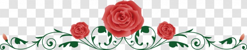 Rose Drawing Clip Art - Istock - Kwiaty Ramka Transparent PNG