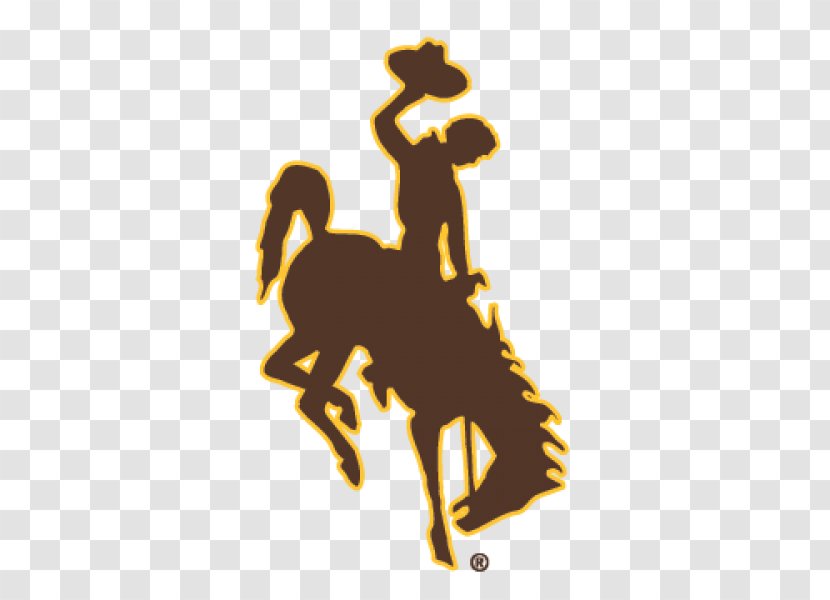 University Of Wyoming Cowboys Football Cowgirls Women's Basketball Men's NCAA Division I Bowl Subdivision - Horse - Working Transparent PNG
