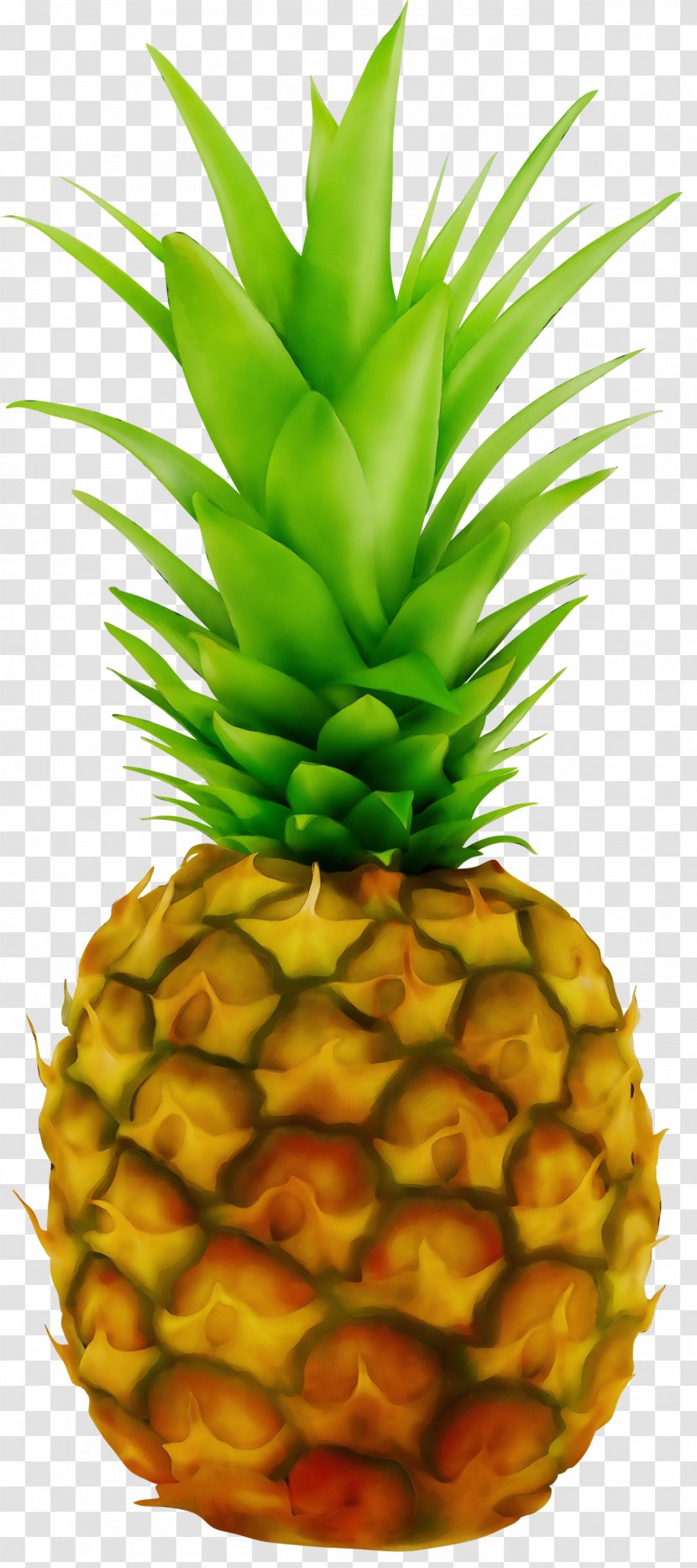 Pineapple Punch Juice Clip Art - Vegetarian Cuisine - Pineapples Transparent PNG