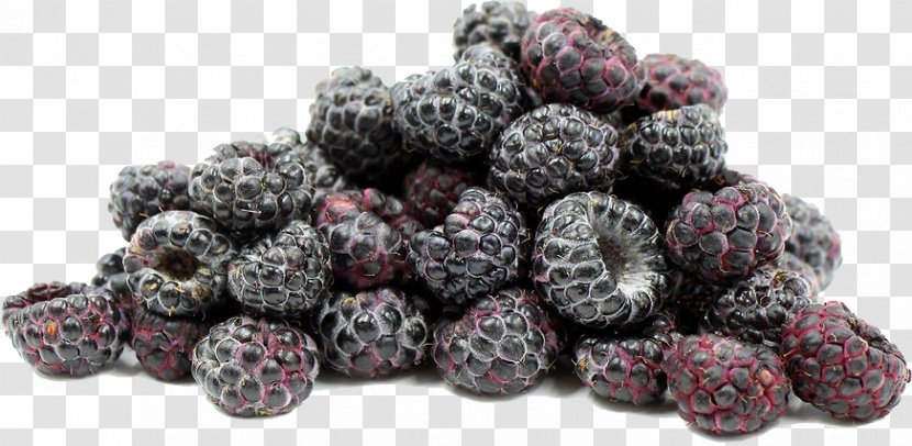 Frutti Di Bosco Black Raspberry Boysenberry - Berry - Raspberries File Transparent PNG