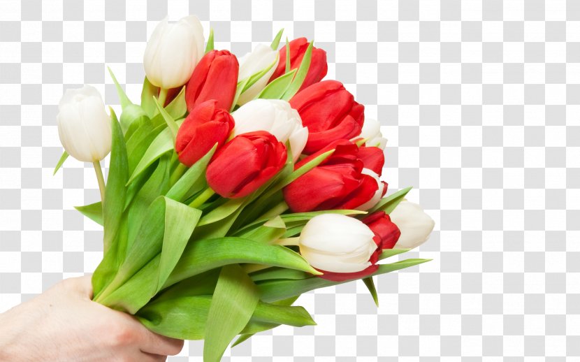 Flower Bouquet Tulip High-definition Television Wallpaper - Floristry Transparent PNG
