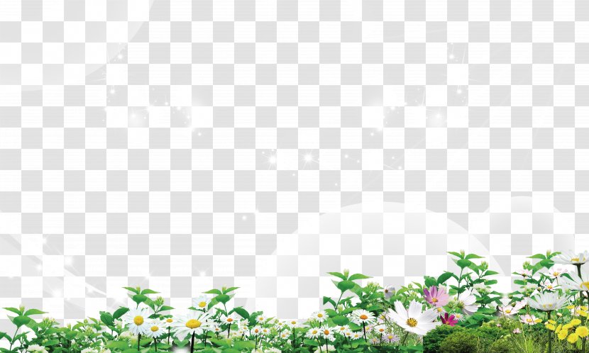 Flower Euclidean Vector Grass - Meadow - Chrysanthemum Transparent PNG