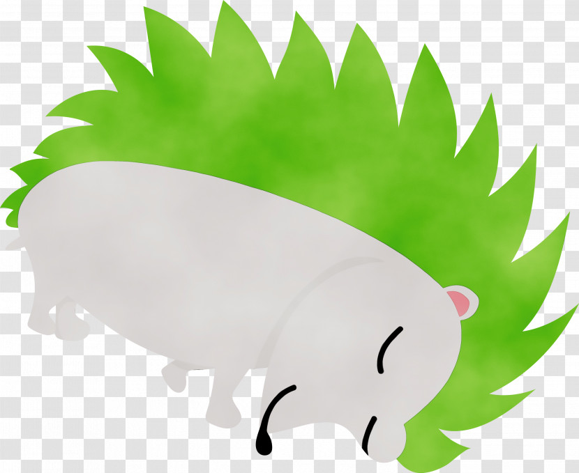 Snout Dog Green Tail Leaf Transparent PNG