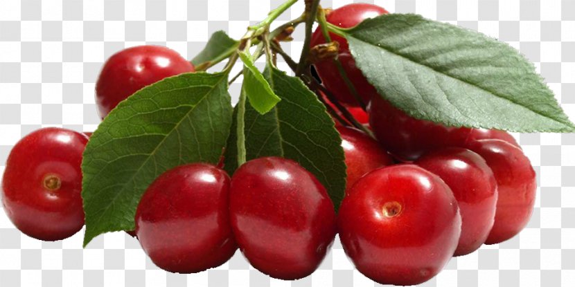 Barbados Cherry Fruit Food - Apricot Transparent PNG