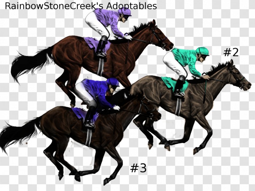 Stallion English Riding Mustang Rein Horse Racing - Equestrianism Transparent PNG