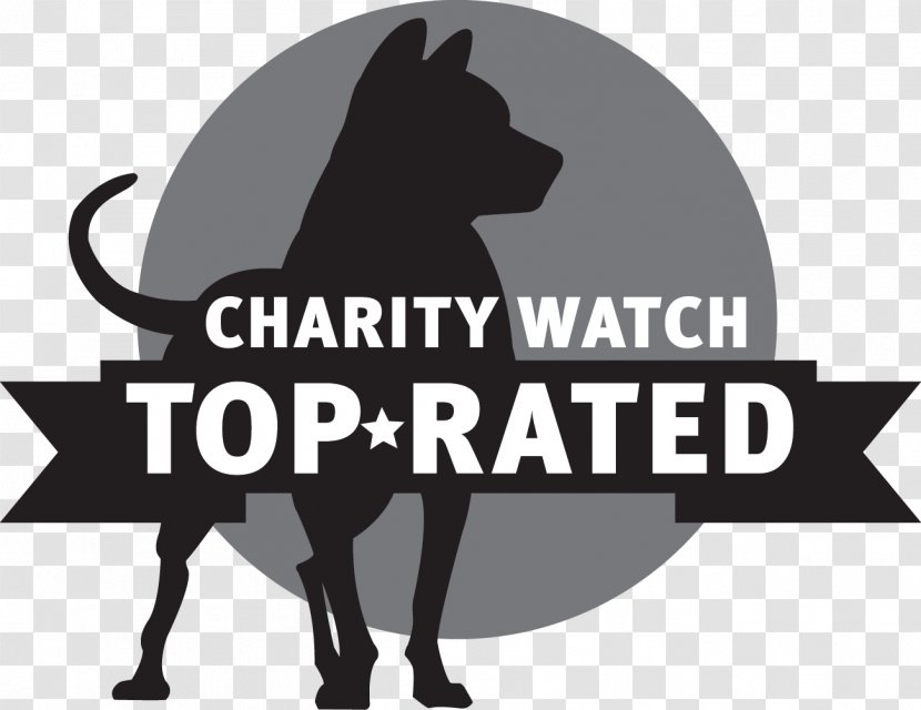 Horse CharityWatch Poverty And Charity Charitable Organization Dog Transparent PNG