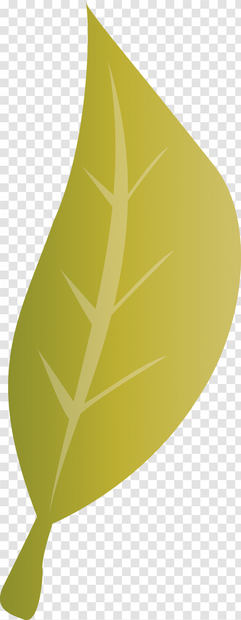 Leaf Angle Line Plant Structure Plants Transparent PNG