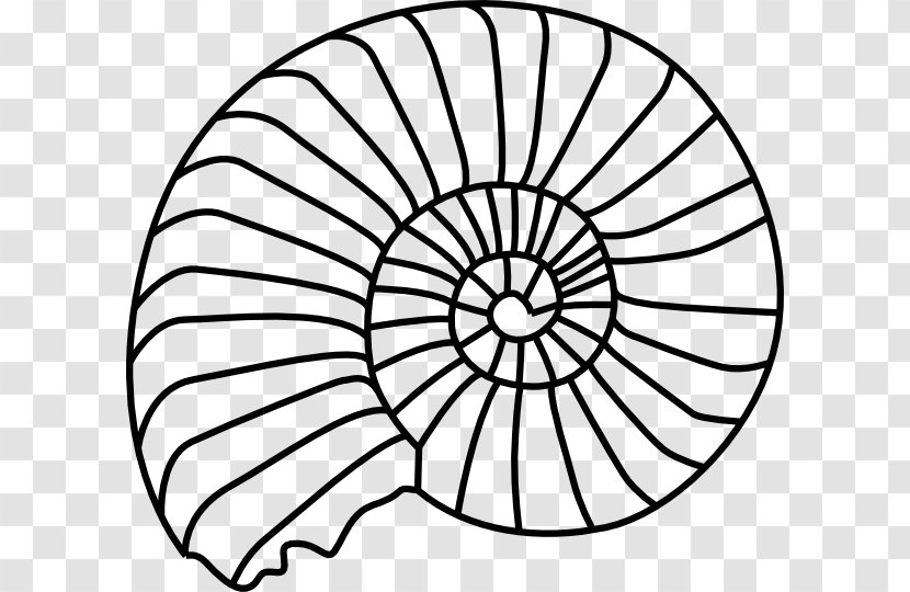 Seashell Spiral Gastropod Shell Clip Art - Mosaic Pattern Transparent PNG