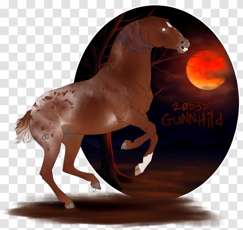 Mane Mustang Stallion Freikörperkultur Snout - Horse Transparent PNG