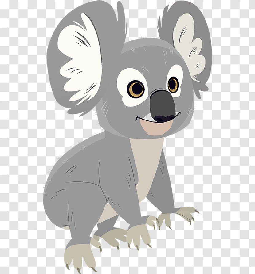 Koala Adventure Film PBS Kids - Animal Transparent PNG