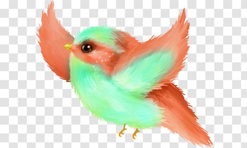 Bird Parrot - Tail - Songbird Transparent PNG