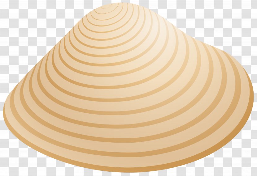 Seashell Desktop Wallpaper Clip Art - Shellcraft Transparent PNG