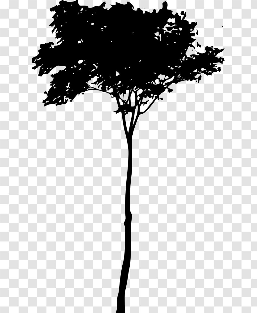 Twig Silhouette Transparent PNG