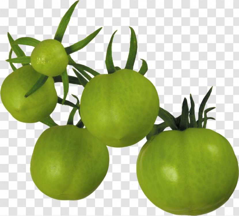 Fried Green Tomatoes Tomatillo Vegetable - Fruit - Tomato Transparent PNG