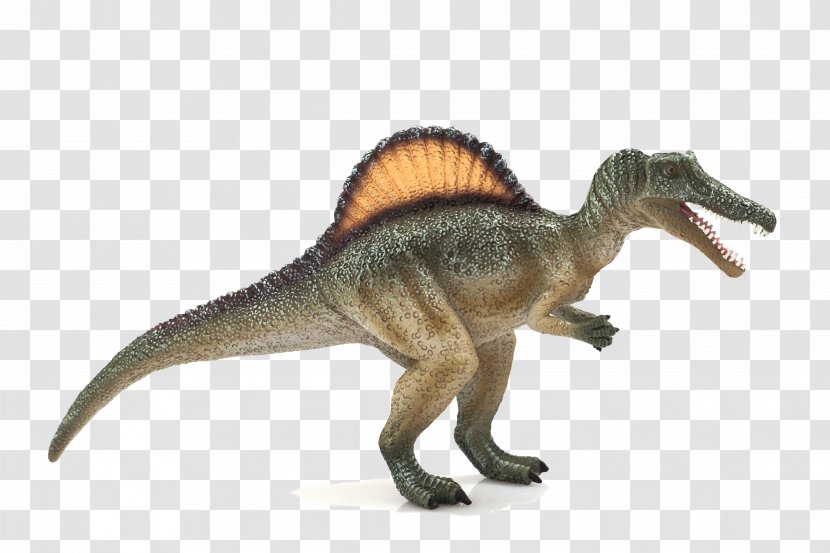 Spinosaurus Tyrannosaurus Triceratops Dinosaur Deinocheirus - T Rex Transparent PNG