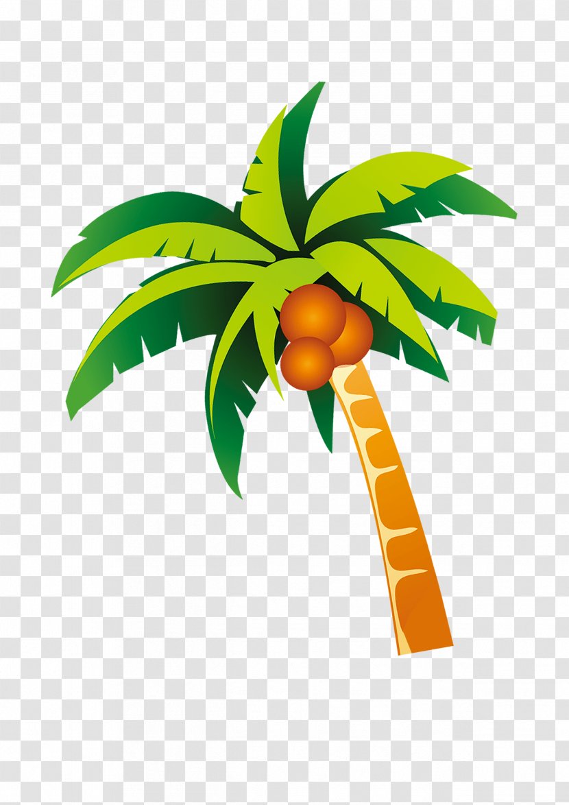 Nata De Coco Coconut - Branch - Palm Beach Style Transparent PNG