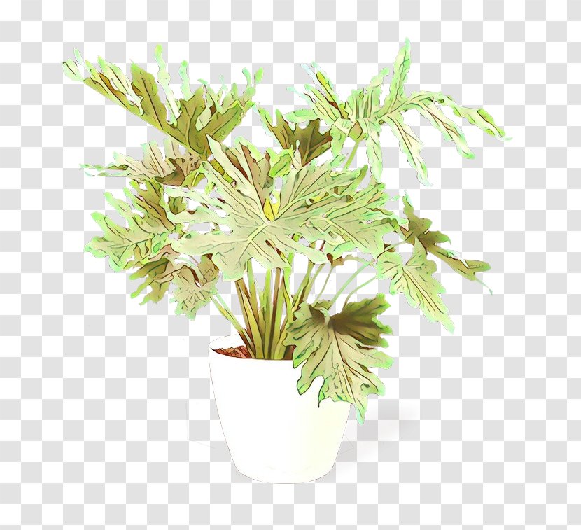 Flower Plant Branch Tree Grass - Pine Family Transparent PNG