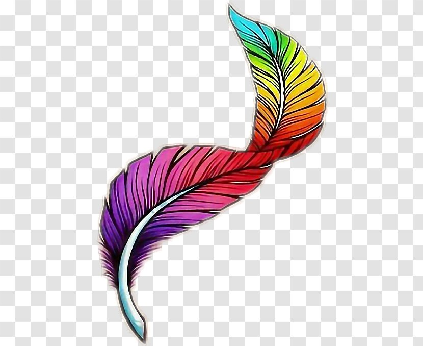 Cartoon Drawing Color Plume Feather - Watercolor Painting Transparent PNG