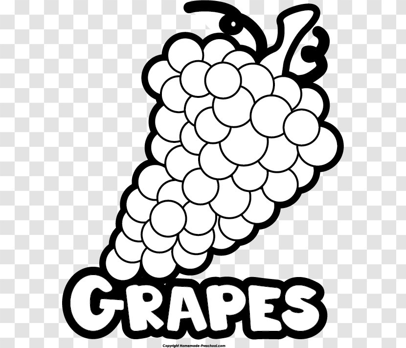 Common Grape Vine Clip Art White Wine - Fruit Transparent PNG