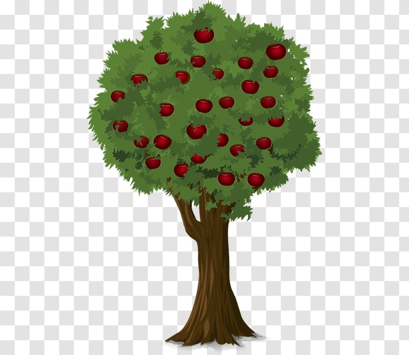 Apple Pick Pixabay Illustration - Leaf - Laden Tree Transparent PNG