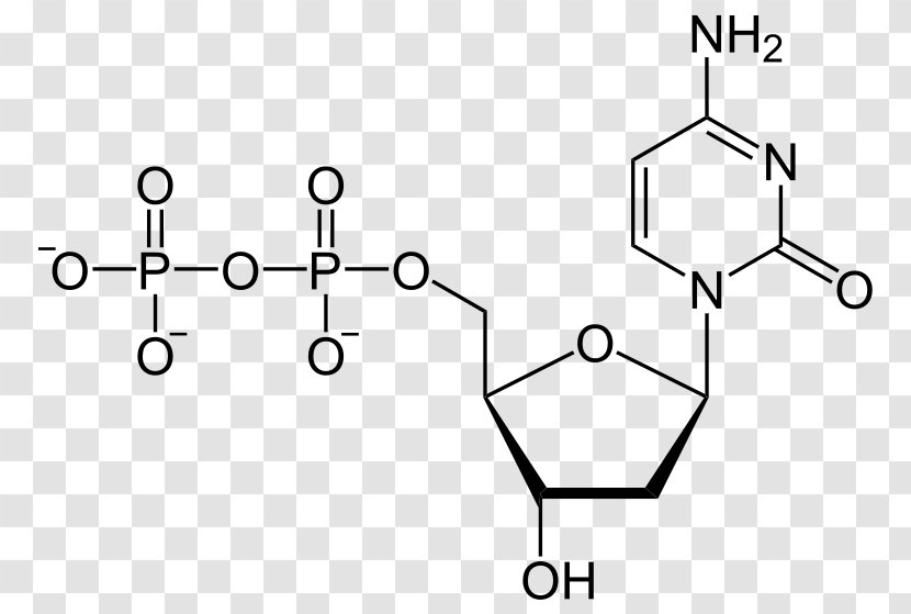Uridine Diphosphate Triphosphate Adenosine Pyrophosphate - Text - Ribose Transparent PNG