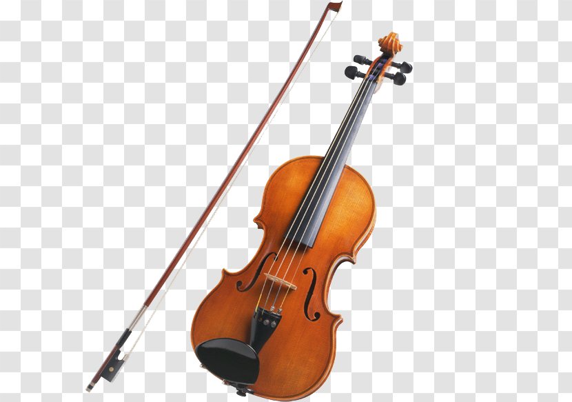 Violin String Instruments Musical Viola Family - Flower Transparent PNG