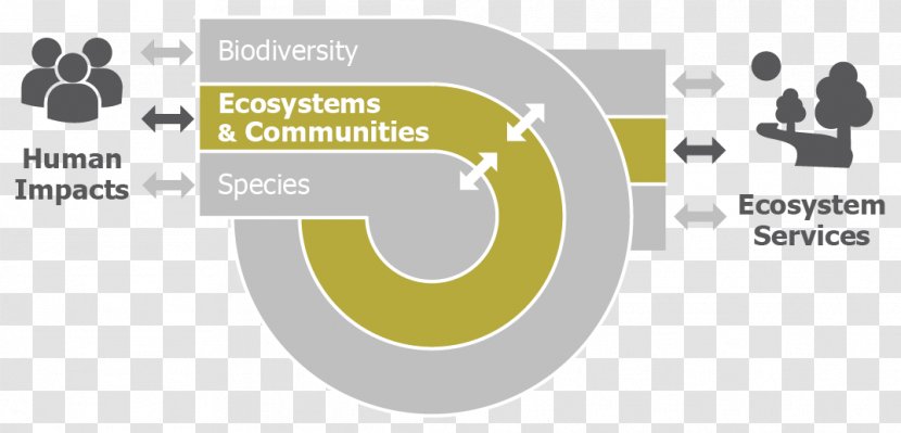 Conservation Biology Biodiversity Science - Diagram Transparent PNG
