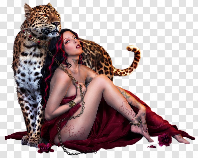 Leopard Cheetah Cat Animal Woman - Carnivoran Transparent PNG