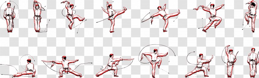 Shaolin Monastery Northern Wushu Kung Fu Chinese Martial Arts - Flower Transparent PNG