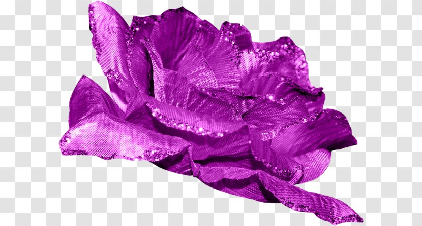 Flower Beach Rose Purple Petal Transparent PNG
