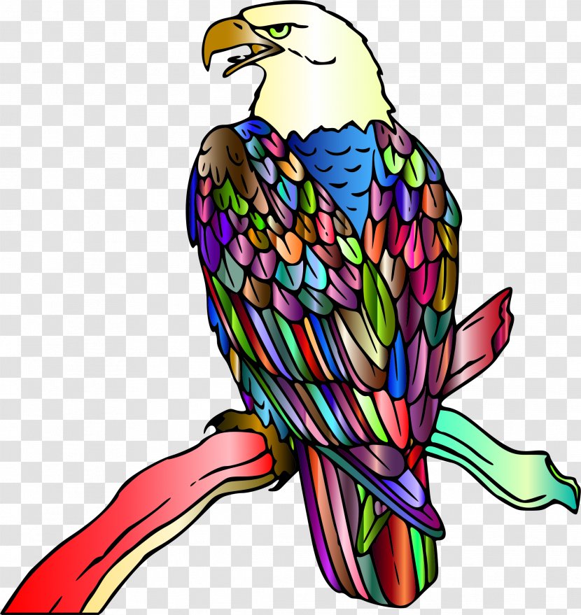 Clip Art Bald Eagle Bird Illustration - Line Transparent PNG