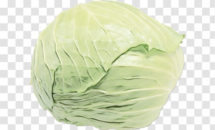 Vegetables Cartoon - Wild Cabbage - Flower Lettuce Transparent PNG