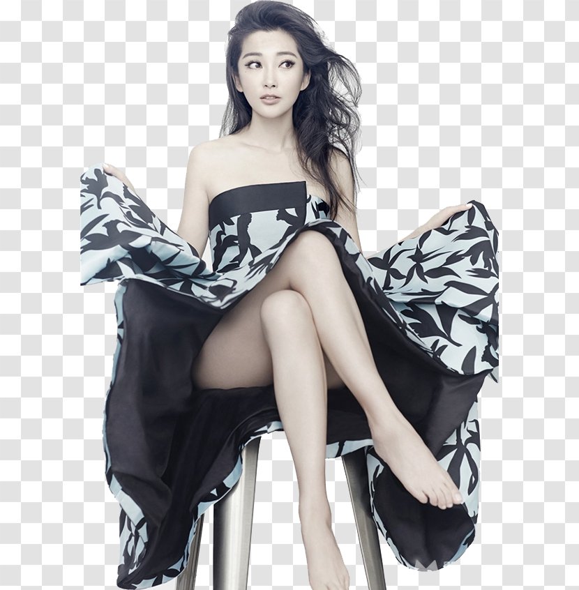 Li Bingbing China The Knot Actor Film - Silhouette - Fan Free Download Transparent PNG