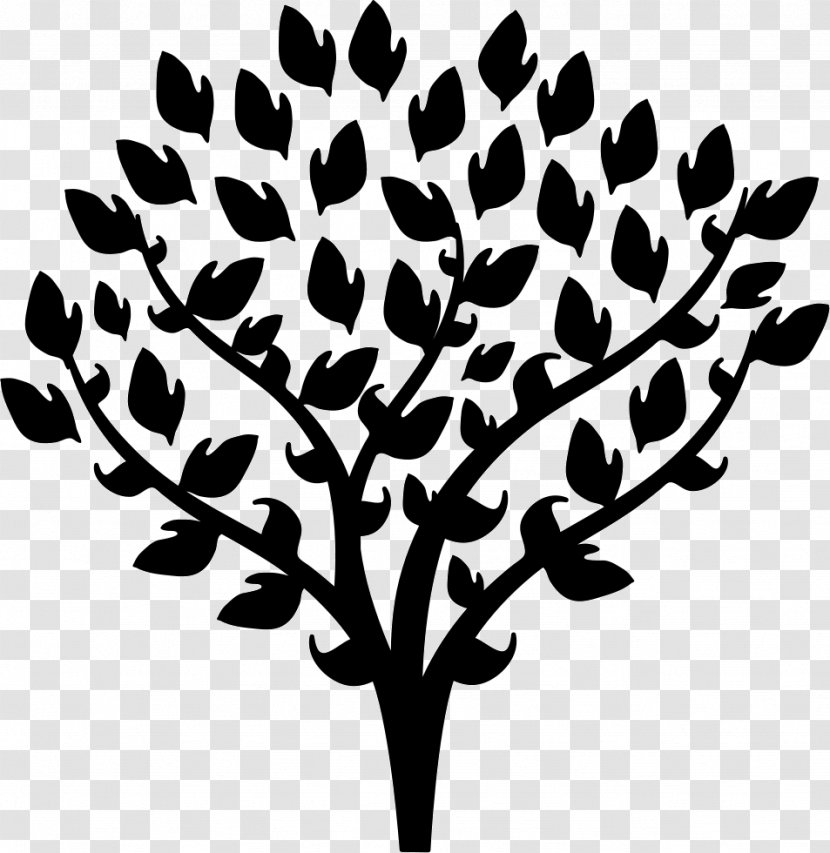Tree Vector Graphics Branch Transparent PNG