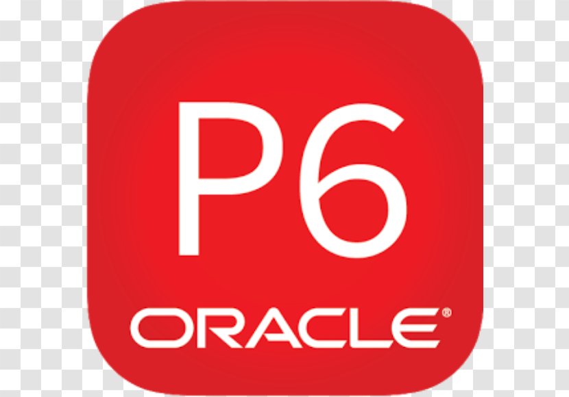 Primavera Oracle Corporation Project Portfolio Management Computer Software - Servers - Corporate Environmental Book Transparent PNG